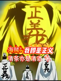 海贼:我既是正义 封面