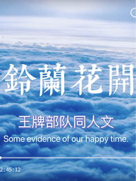 王牌部队同人文铃兰花开 封面