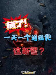 疯了!一天一个通缉犯,这新警? 封面