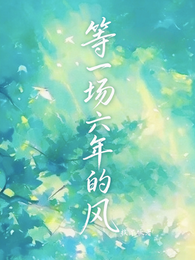 等一场六年的风 封面