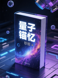 量子锚忆 封面