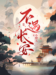 不遇长安 封面