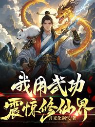我用武功震惊修仙界 封面