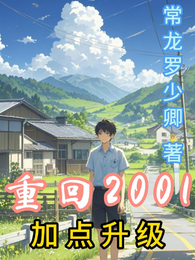 重回2001加点升级 封面