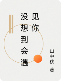 没想到会遇见你 封面