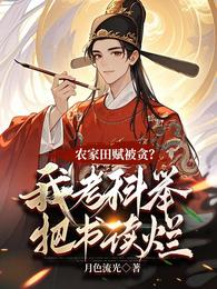 农家田赋被贪？我考科举把书读烂 封面
