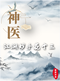神医江湖妙手花十三 封面