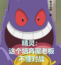 精灵：这个培育屋老板不懂对战 封面