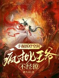 手握医疗空间:疯批王爷不经撩 封面