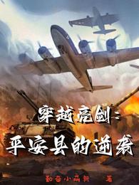 穿越亮剑:平安县的逆袭 封面