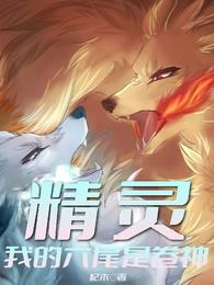 精灵，我的六尾是卷神 封面