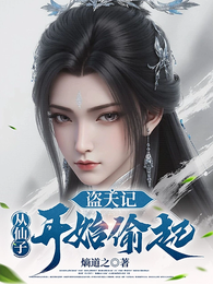 盗天记：从仙子开始偷起 封面