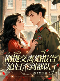 不跟我生孩子？军婚也得离 封面