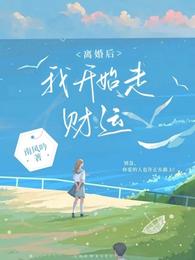 离婚后,我开始走财运 封面