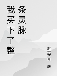 我买下了整条灵脉 封面