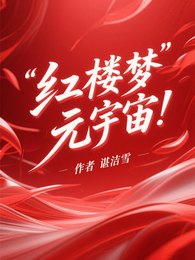 红楼梦元宇宙 封面