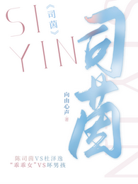 司茵 封面