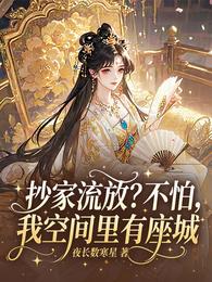 抄家流放?不怕,我空间里有座城 封面