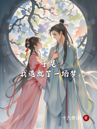 于是，我造就了一场梦 封面