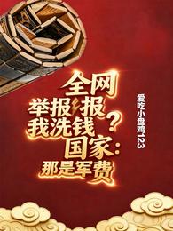 全网举报我洗钱？国家：那是军费 封面