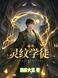 灵纹学徒 封面