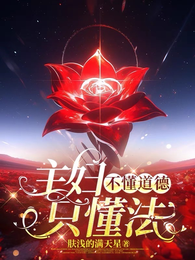 主妇不懂道德只懂法 封面