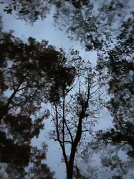 蓝色星系 封面
