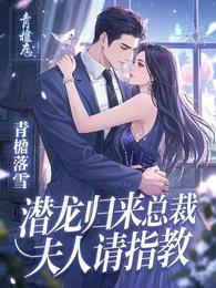 潜龙归来：总裁，夫人请指教 封面