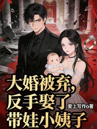 大婚被弃，反手娶了带娃小姨子 封面
