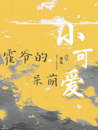霍爷的呆萌小可爱 封面