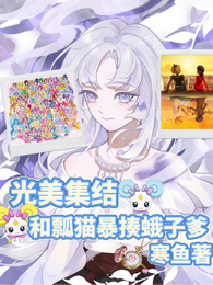 光之美少女allstars 封面