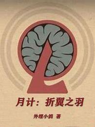 月计：折翼之羽 封面