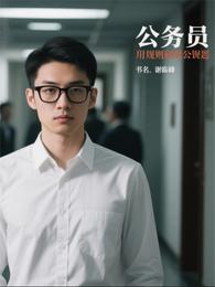 公务员：用规则硬刚潜规则 封面