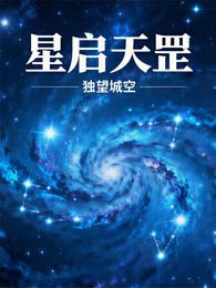 星启天罡 封面
