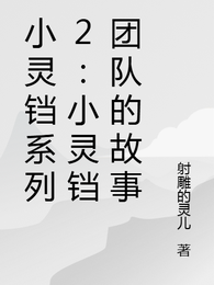 小灵铛系列2：小灵铛团队的故事 封面