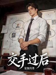 交手过后 封面