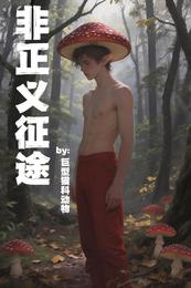 非正义征途 封面