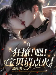 狂撩！嗯！宝贝请点火！ 封面