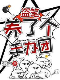 盗笔：养了个手办团 封面