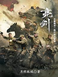 亮剑:从晋西北一路打到上甘岭 封面