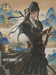 锦衣大夏 封面