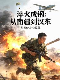 淬火成钢：从南疆到汉东 封面