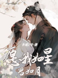 愿我,如星君如月 封面