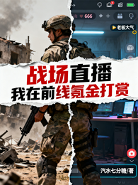 战场直播：我在前线氪金打赏 封面