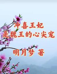 冲喜王妃是魏王的心尖宠 封面