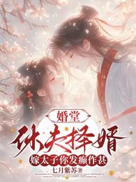 婚堂休夫择婿，嫁太子你发癫作甚 封面