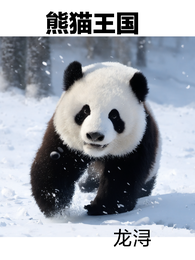 熊猫王国 封面