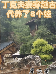 丁克夫妻穿越古代养了8个娃 封面