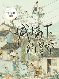 城墙下的星空 封面