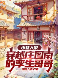 小巷人家:穿越庄图南的孪生哥哥 封面